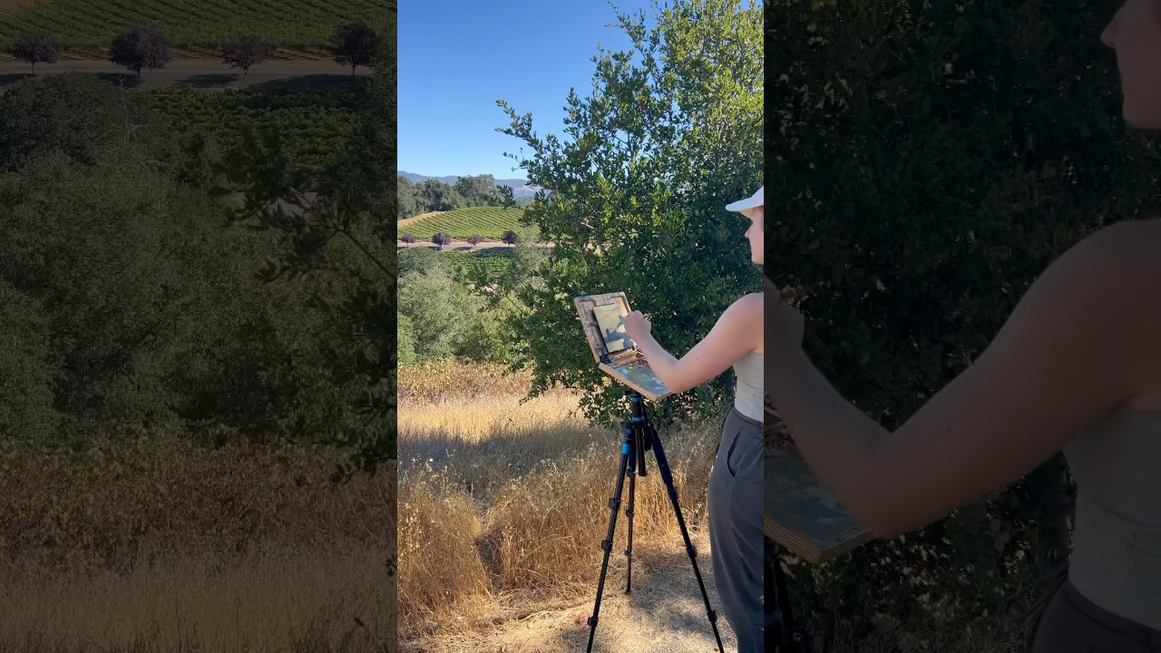 Finding the perfect painting composition in the California landscape #pleinair #pleinairpainting