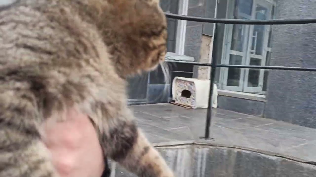 Она Защищала Кормушку / She Defended The Feeder 🔥