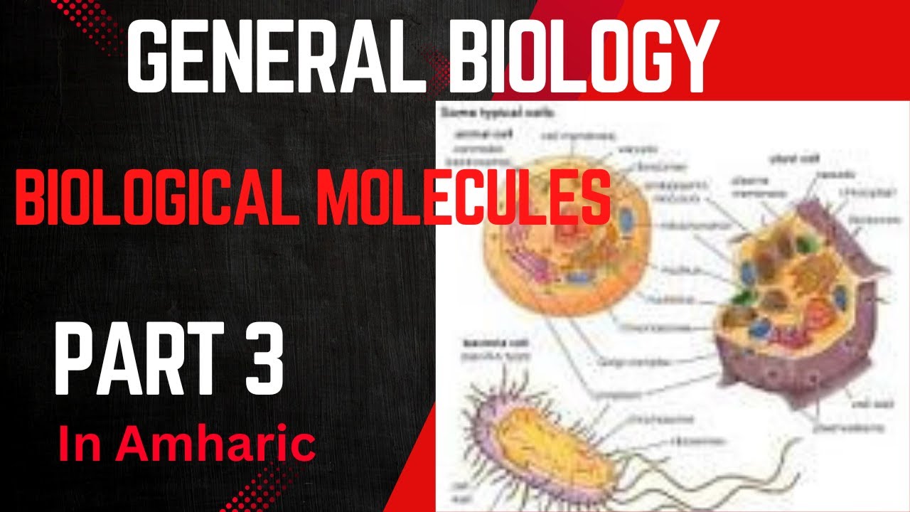 Biological Molecules