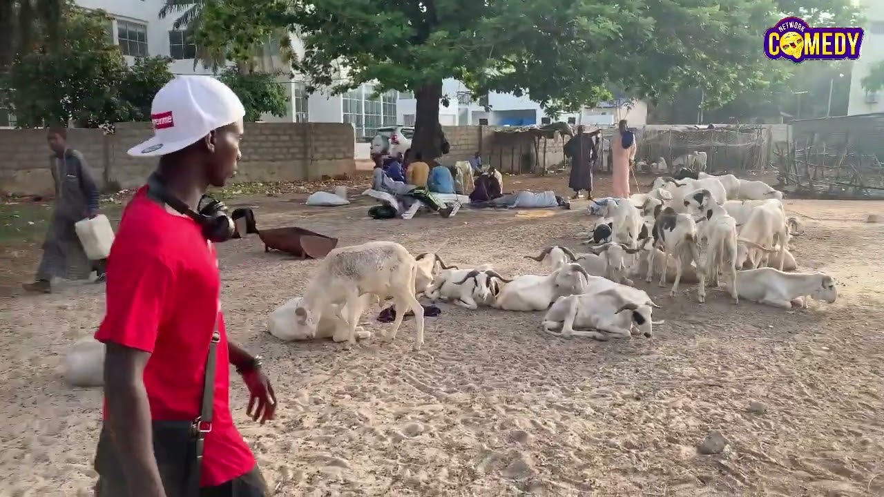 Wajal tobaski_(Network Comedy Gambia) _Episode 2