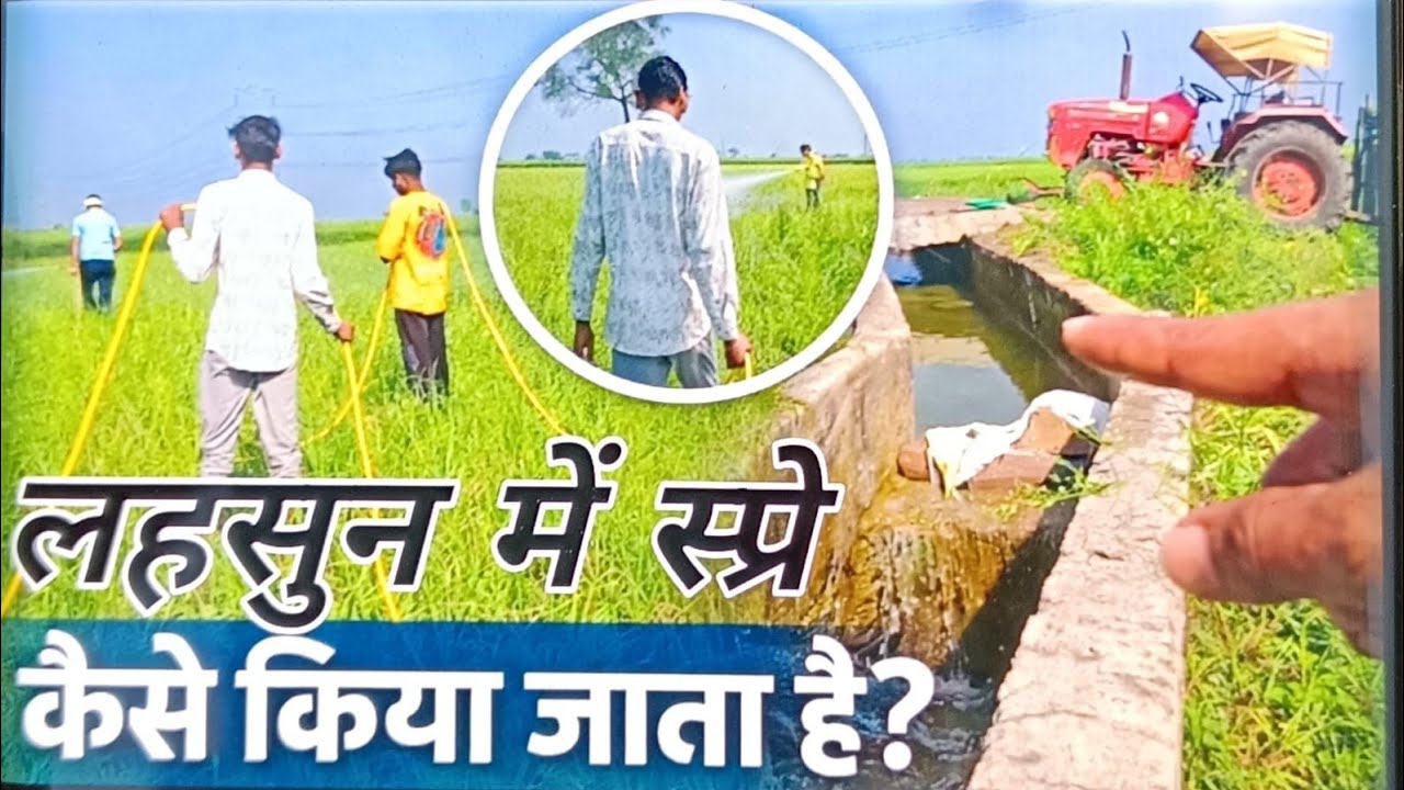 आज चलते हैं दवाई छिड़काव करने 😲😲😲😱