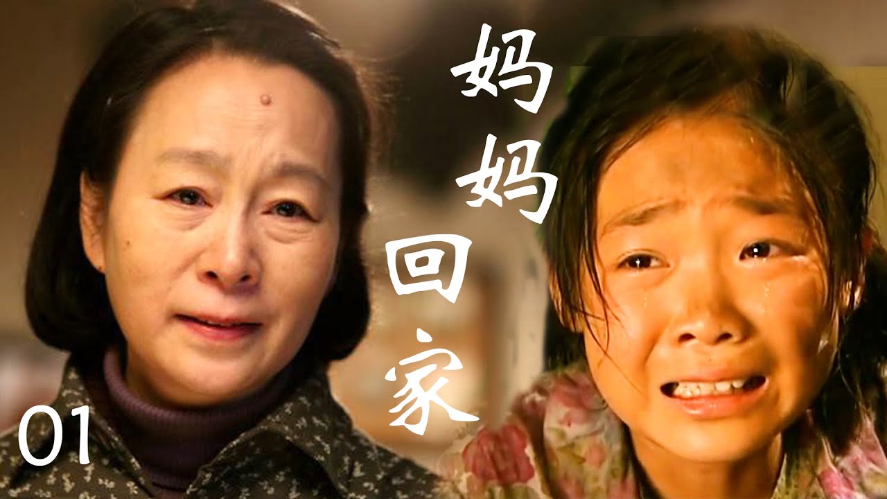 妈妈回家 01（奚美娟，高露，张凯丽，李宗翰，高云翔）中国经典都市家庭电视连续剧
