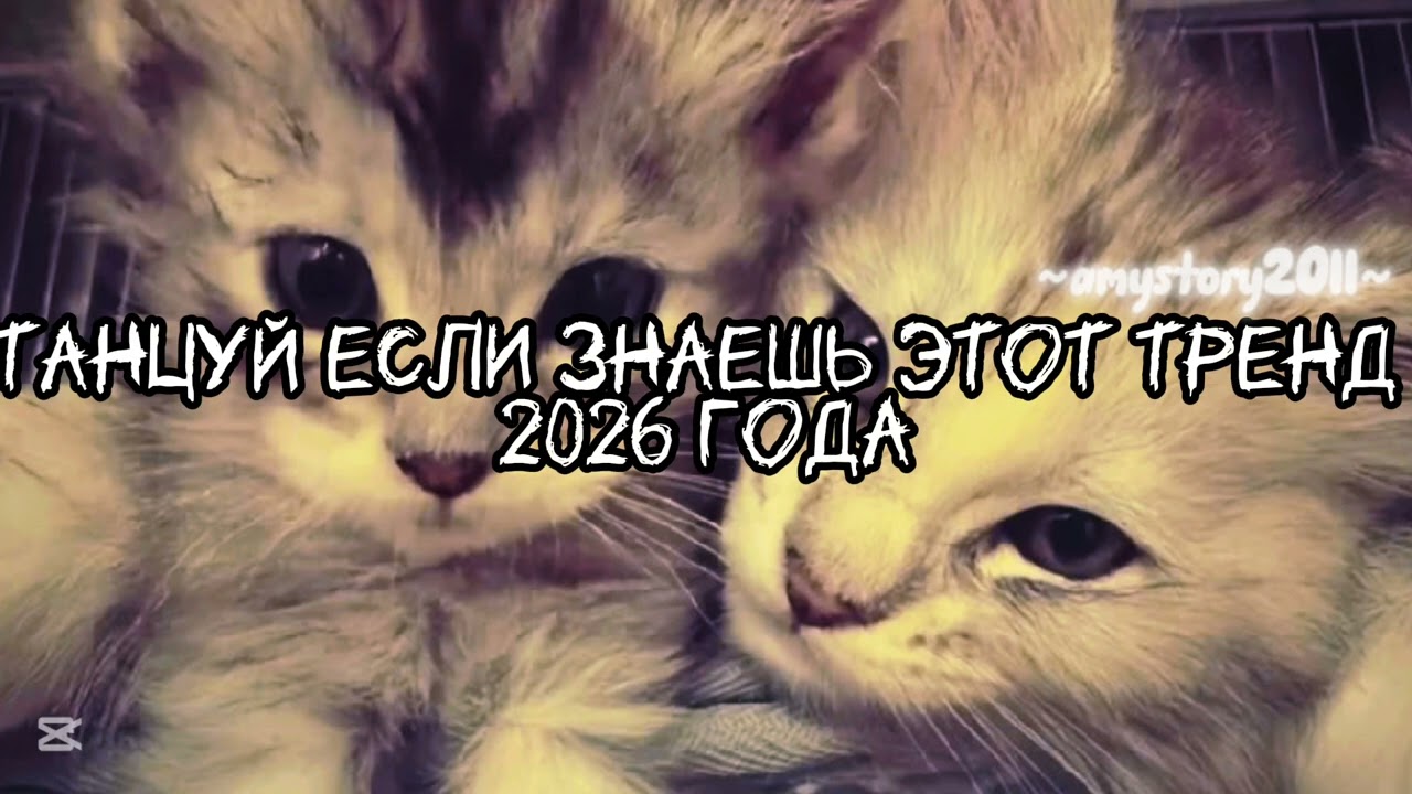 Танцуй если знаешь этот тренд 2026 года #amystory2011 #потрендам #залетипж #тренды #врек #дуэт #2026