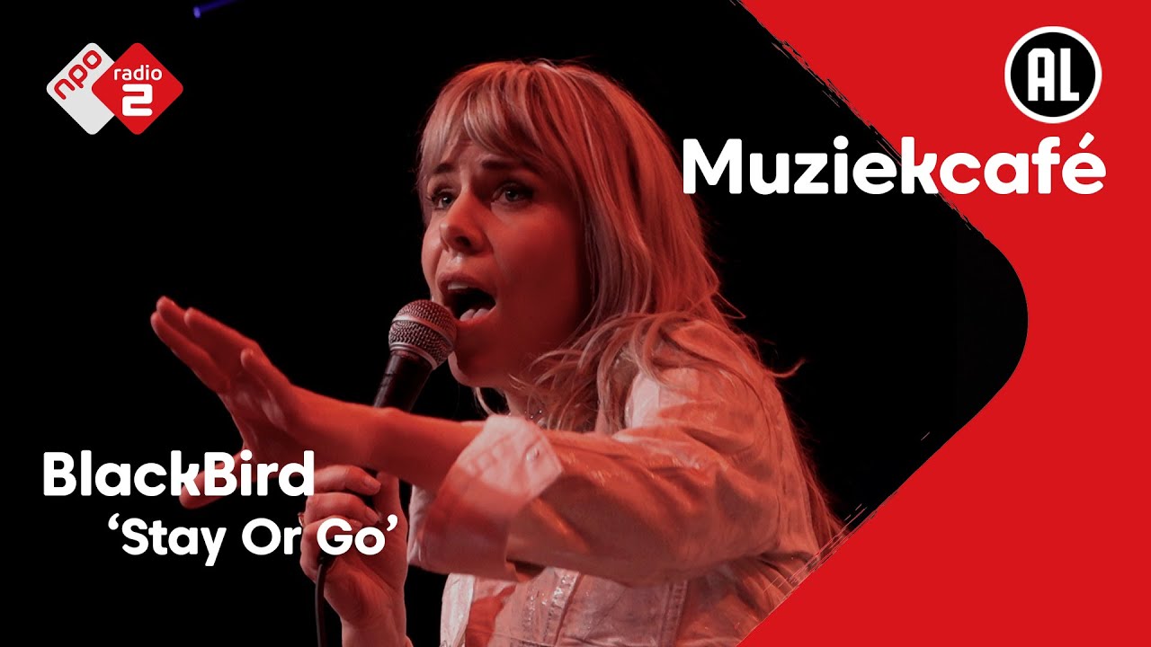 Blackbird - Stay Or Go | NPO Radio 2