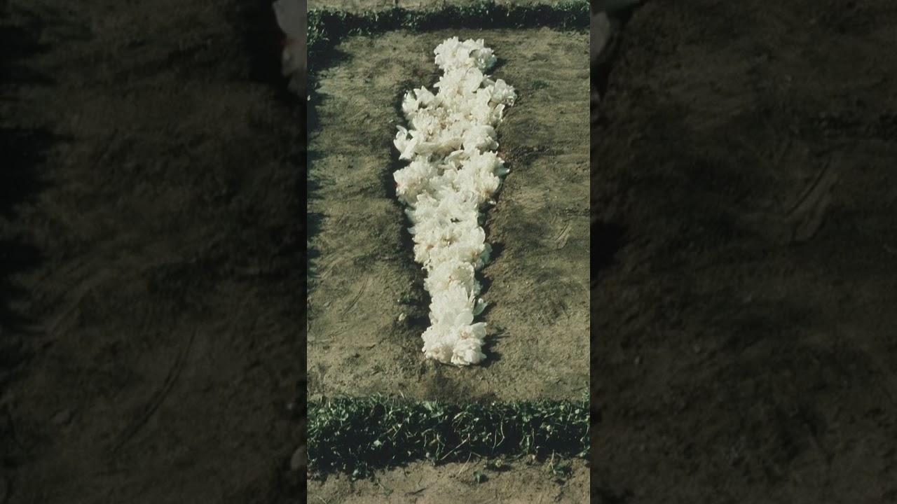 Ana Mendieta, Silueta Series, c.1973-1978 | Women in Art Fair
