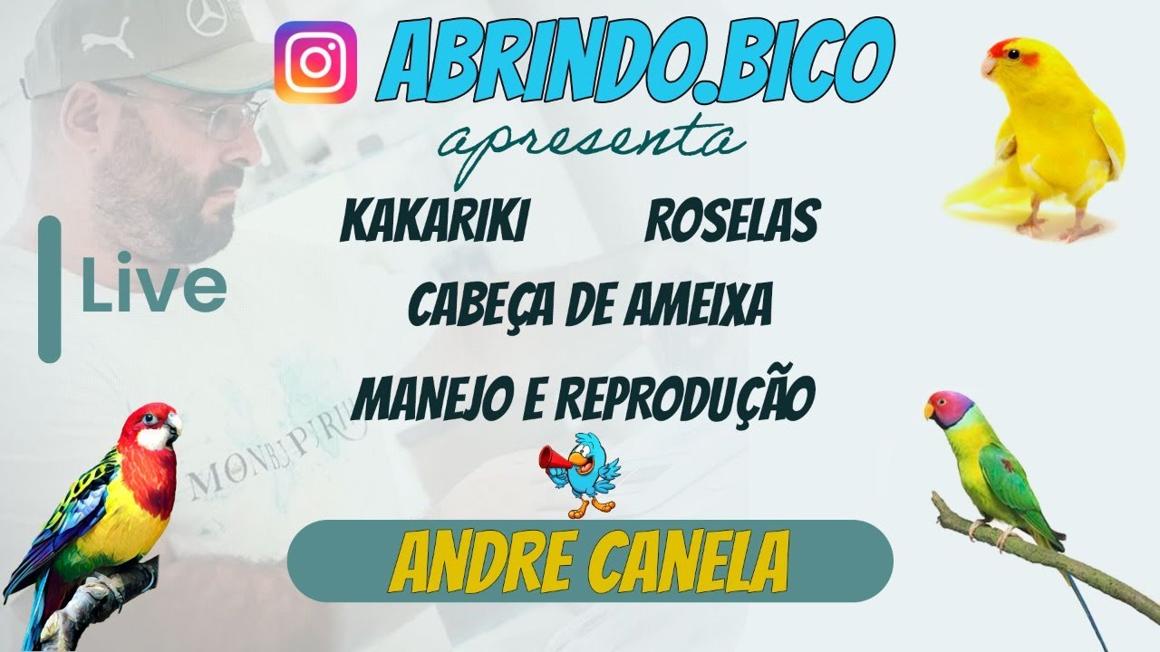 Manejo e Reprodução | ROSELAS, KAKARIKI E CABEÇA DE AMEIXA