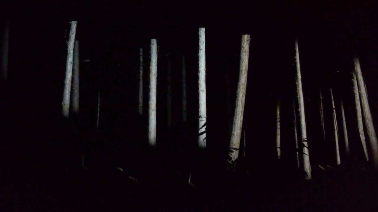 Nachtgloed tijdens ITGWO 2013