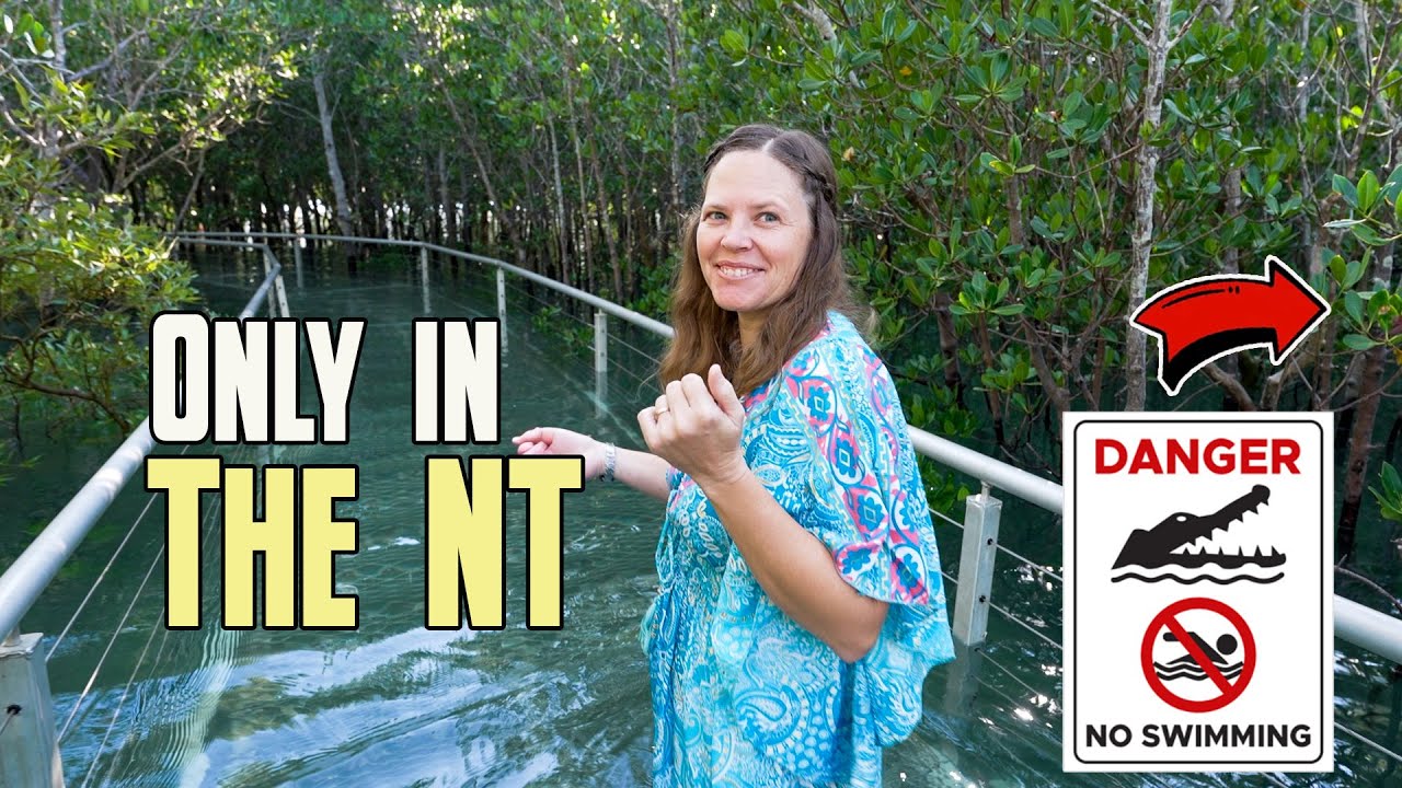 First impressions of DARWIN (Not What We Expected)