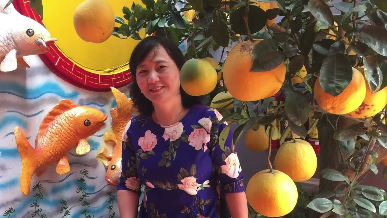 tết 2018 đi phủ tây hồ.