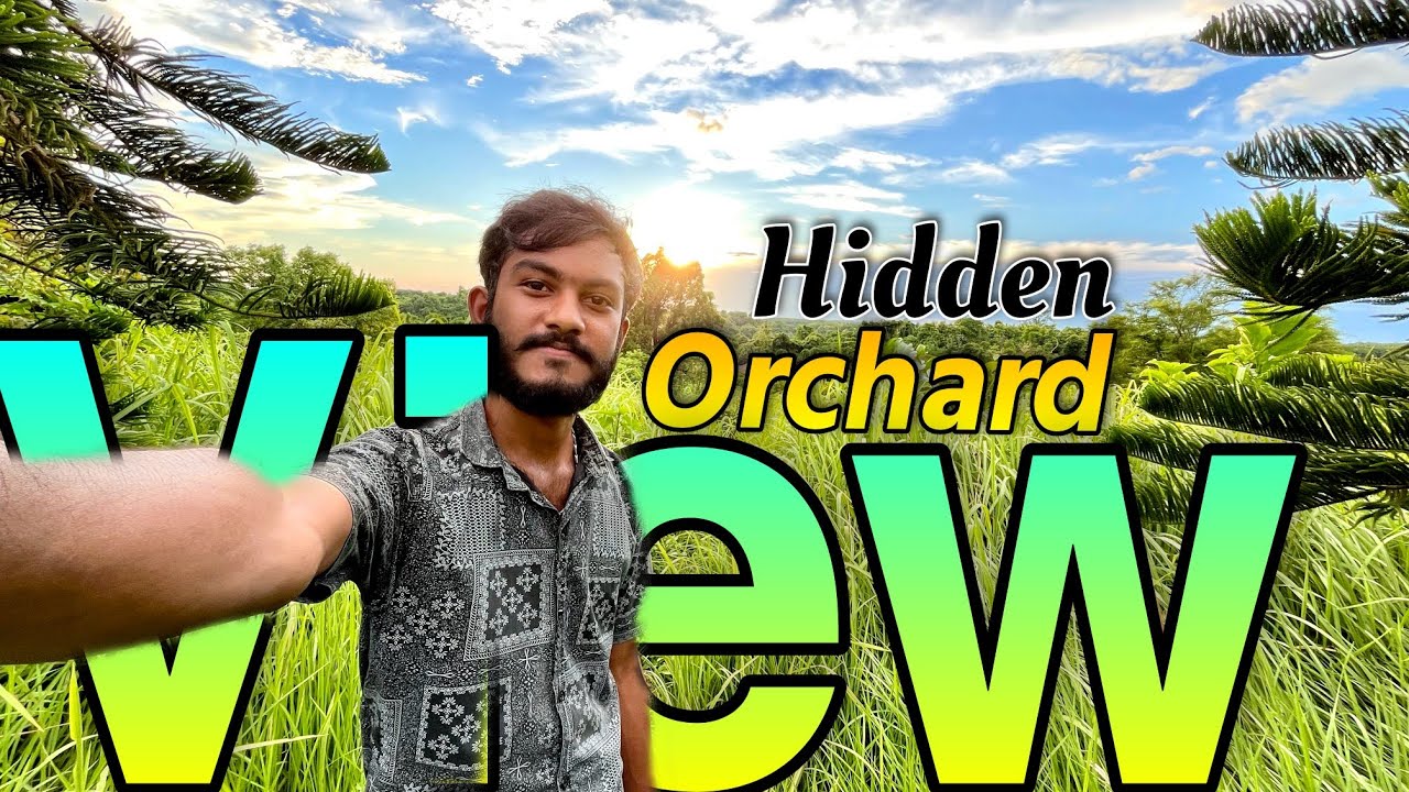 Hidden ORCHARD View POINT Tripura 😍