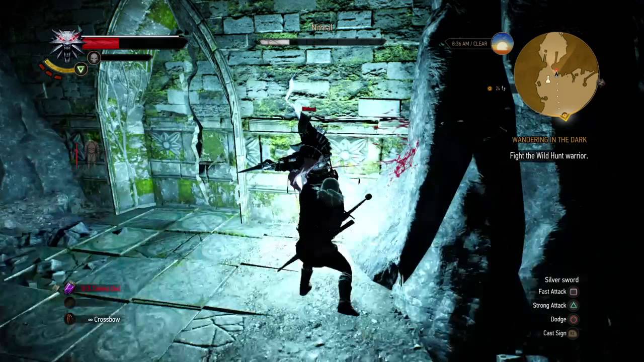 The Witcher 3: Wild Hunt (wild hunt warrior boss fight)