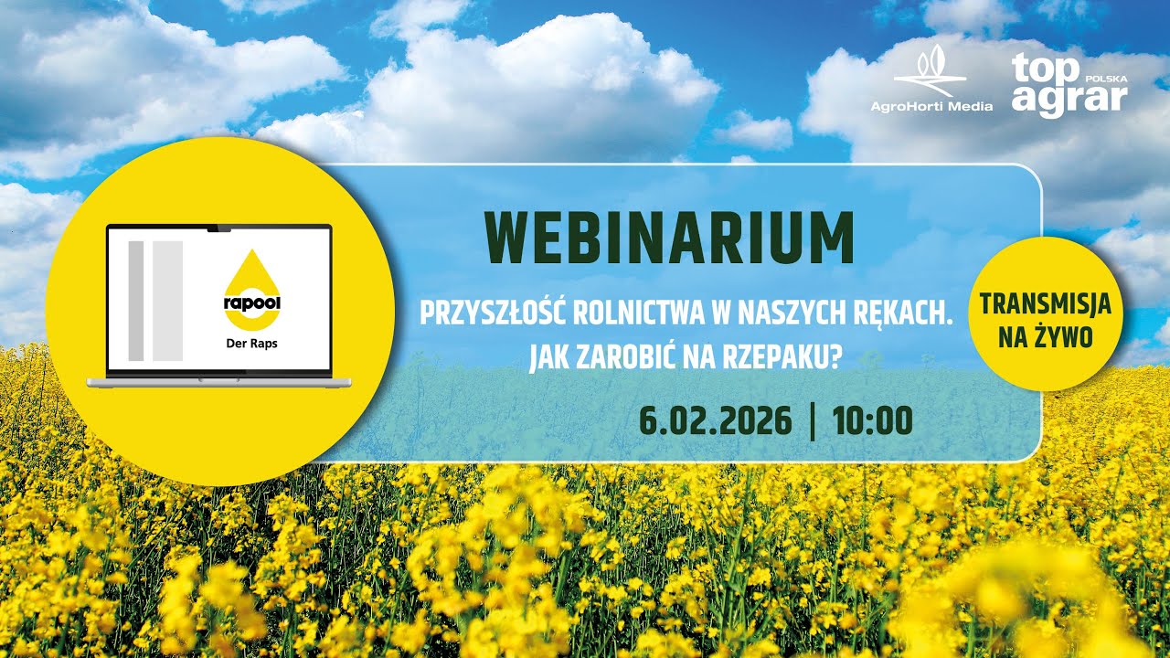 Rzepak 2026 pod lupą 🌱 Odmiany, rekomendacje i decyzje na nowy sezon