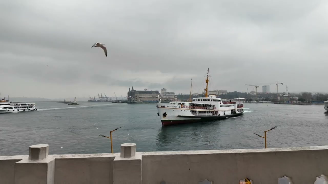 Kadıköy İskele Kütüphanesi 2026 | #istanbul  #viral #fyp #asmr #relaxingsong #deniz 