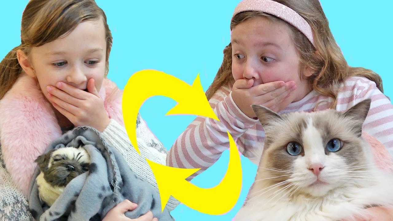 PET SWITCH UP PRANK!! Mommy Switched Our Cat for a Puppy