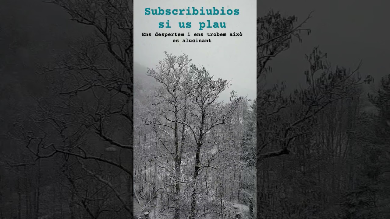 Nevant a planoles