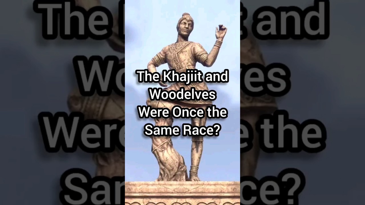 Каджиты и лесные эльфы когда-то были одной расой?! #khajiit #Tes #lore #skyrim #eso #bethesda #bo...