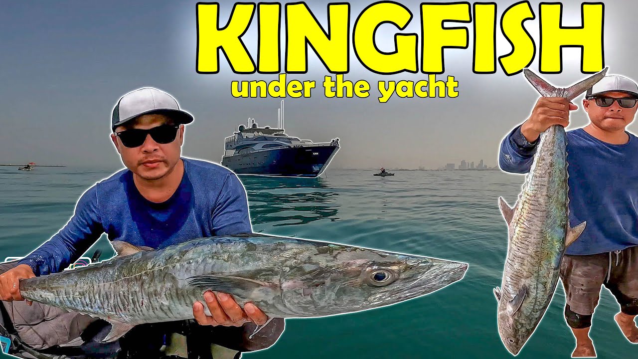 Big #kingfish on #kayakfishing Using #livebait in #dubai | #sustainablefishing | #fishingwithfriends