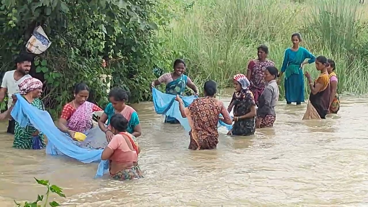 వర్షం భారీగా పడటంతో మహిళలు, చిన్నలు పెద్దలు... అందరూ కలిసి చేపలు పడుతున్న దృశ్యం....