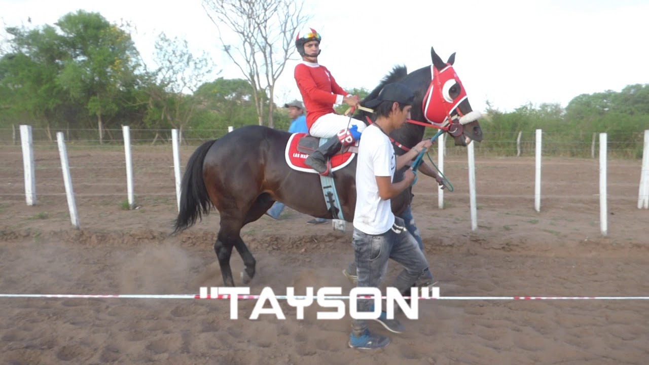 Tayson vs Cheto