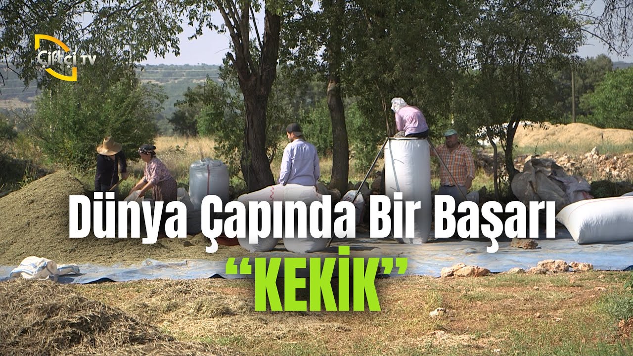 Dünya Çapında Bir Başarı 