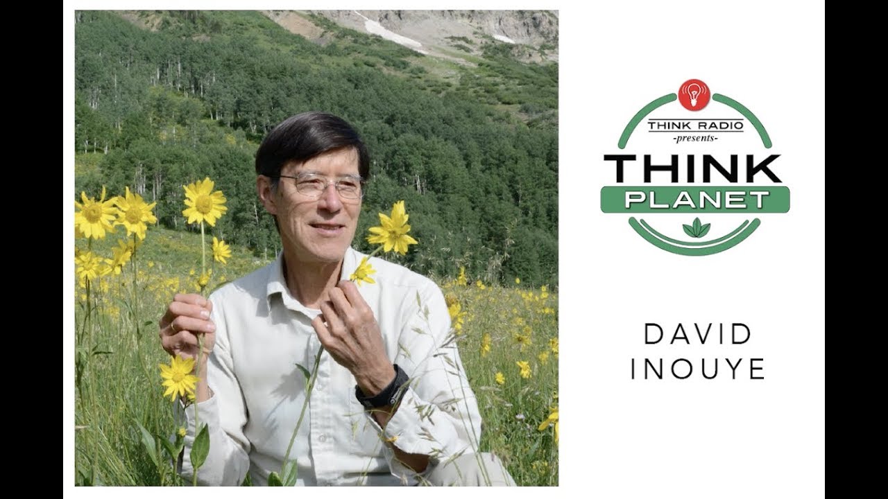 David Inouye — A passion for pollinators