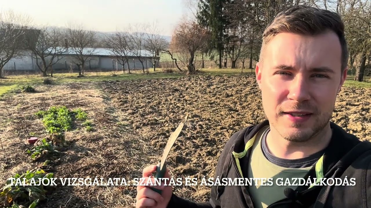 Talajvizsgálat: szántásos és ásásmentes gazdálkodásban. 3 év komposzthagyó mulcsozás eredménye. 