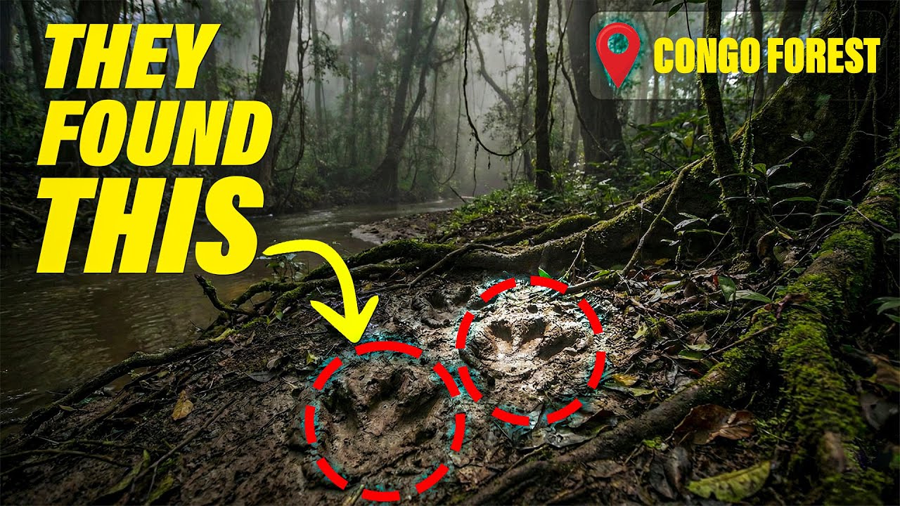 9 Terrifying Discoveries in the Congo Forest
