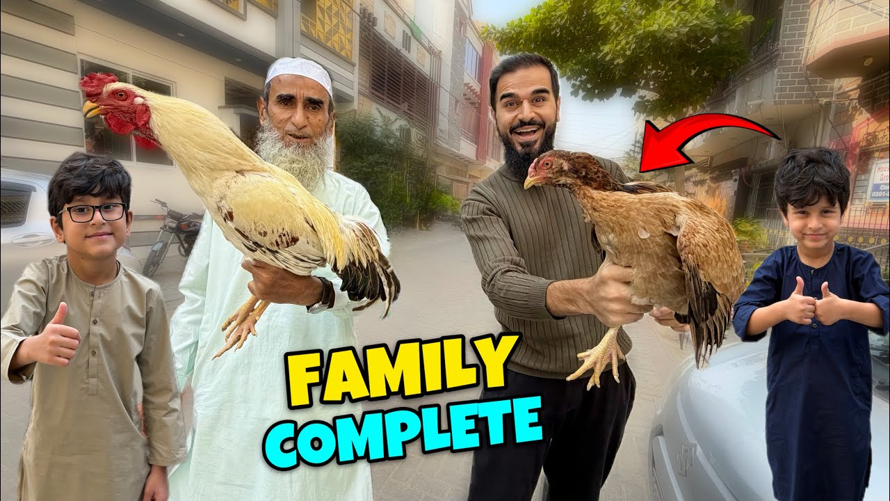 Finally murghi bhi aa gai 😍 Family complete hogai ab 🐓