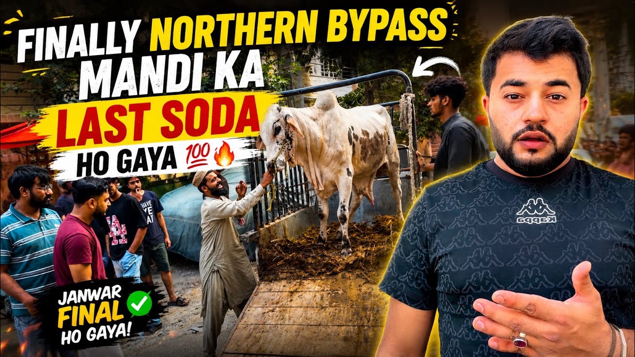Finally Janwar Final ✅ 😍| Northern Bypass Mandi | Last visit🐄🔥| Part 2 
