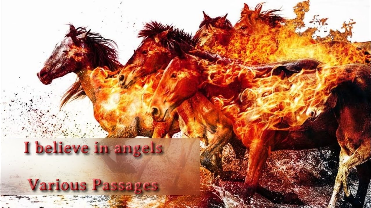 I believe in angels (Various passages)