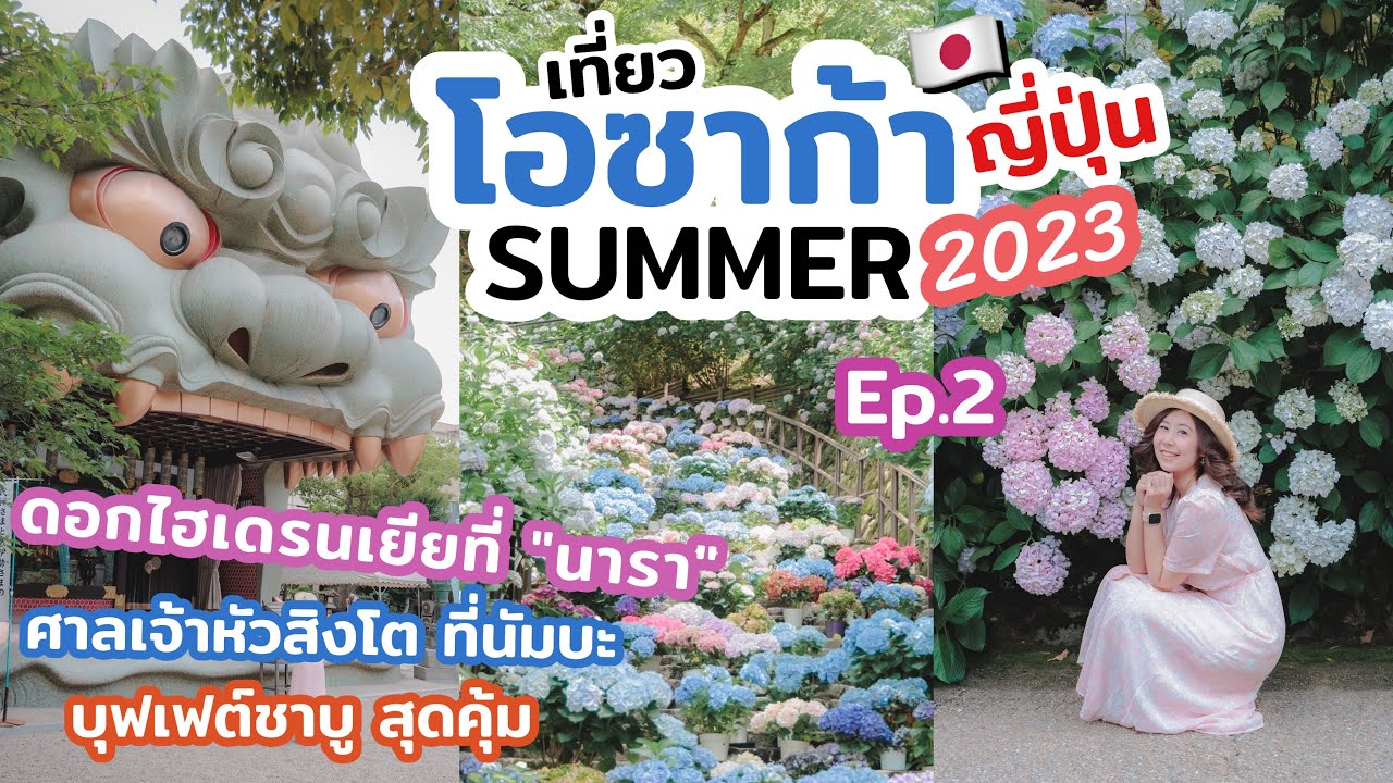 เที่ยวญี่ปุ่น โอซาก้า เที่ยววัด Hasedera อายุ1300ปี เป็นวัดแห่งดอกไม้บานตลอดปี | เที่ยวแล้วเที่ยวอีก