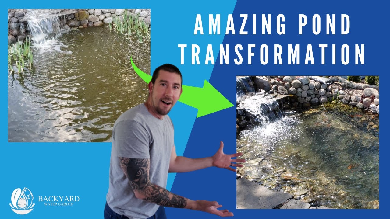 The Fastest Way To Clear Pond Water