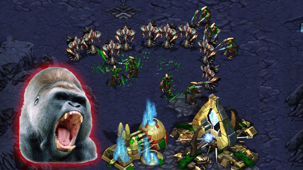 Лучший PvZ &mdash; серия Ladder &mdash; Starcraft Broodwar