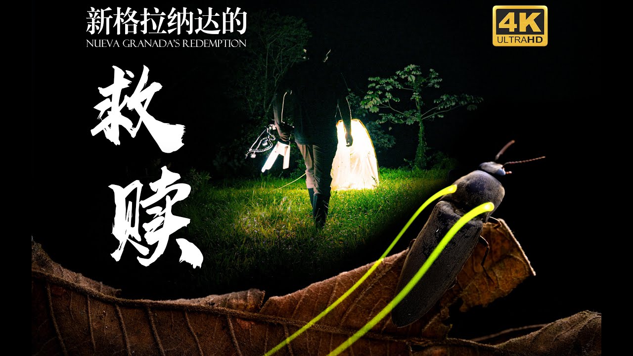 【探险纪录片】《新格拉纳达的救赎》——最强单兵探险科普纪录片，勇闯中美洲，探寻无人区的生命真谛！