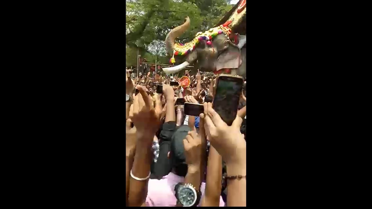 Thechikkottukavu  Ramachandran | MASS ENTRY