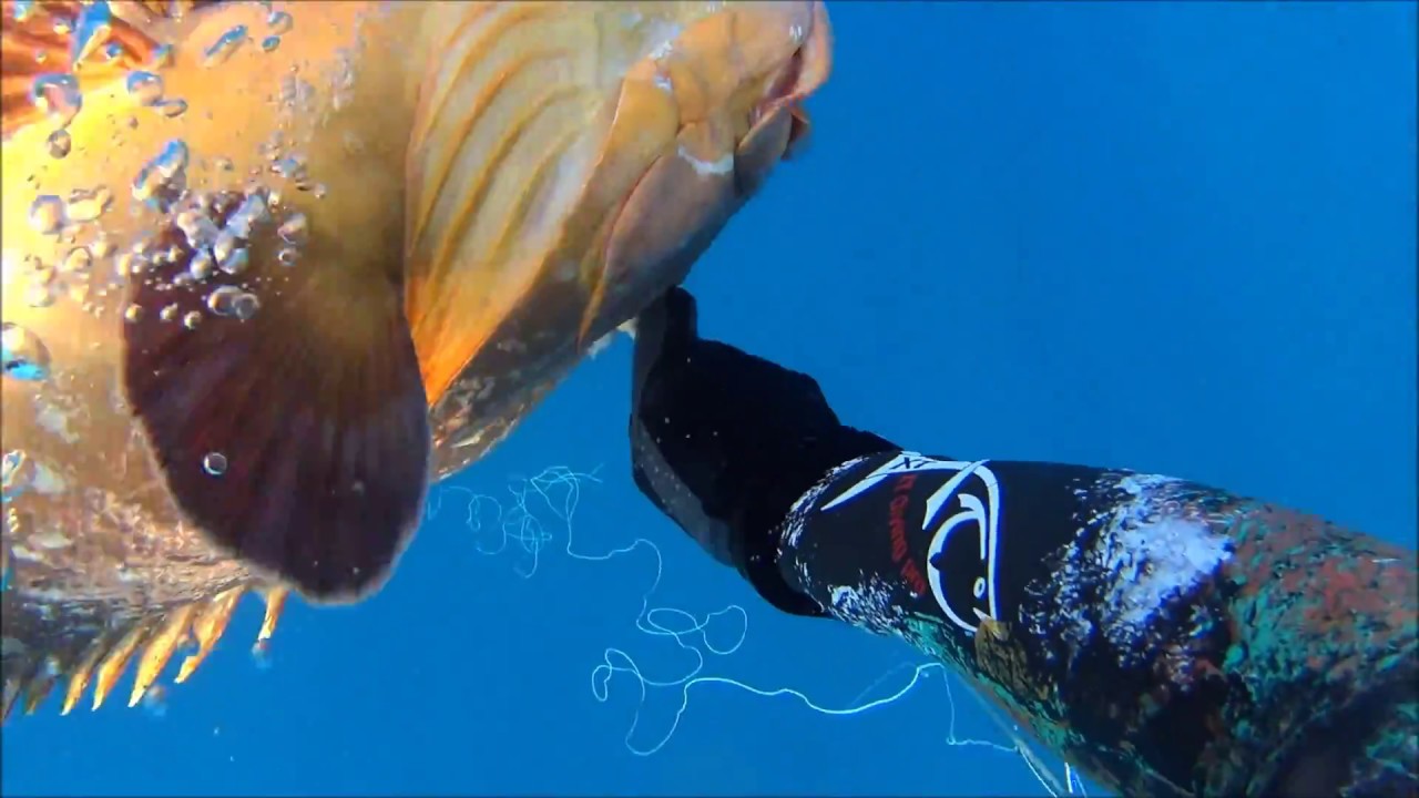 10  Deep Spearfishing Cyprus  George Vasileiou   Asgatas