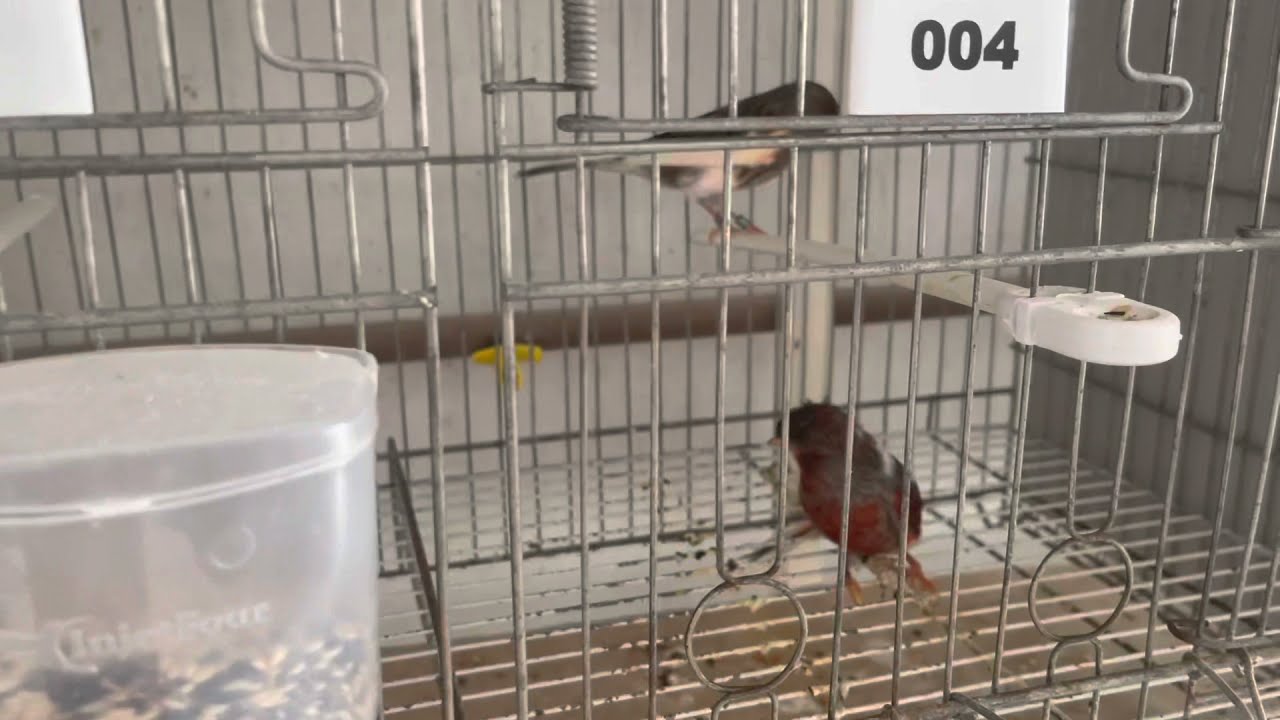 Fiquei com medo, mas tive que arriscar