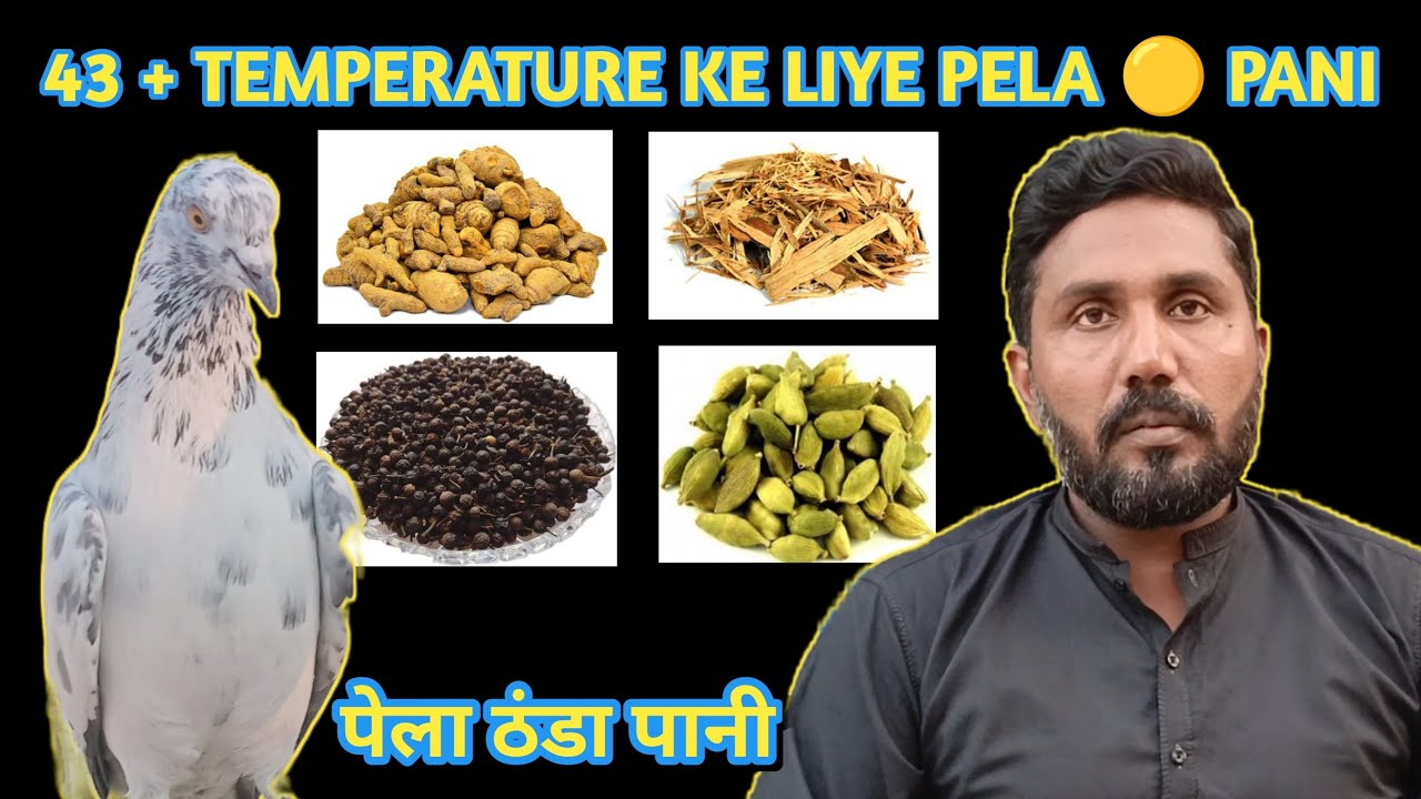 45 TEMPERATURE ME ISTIMAL HONE WALA PELA THANDA PANI LIVE