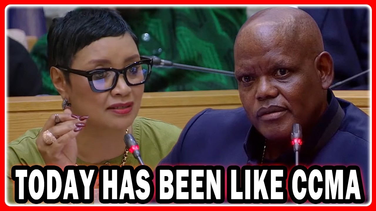 MP James Grilling General Phahlane “The Same Company You Utilised Was Then Overpaid By R500k”