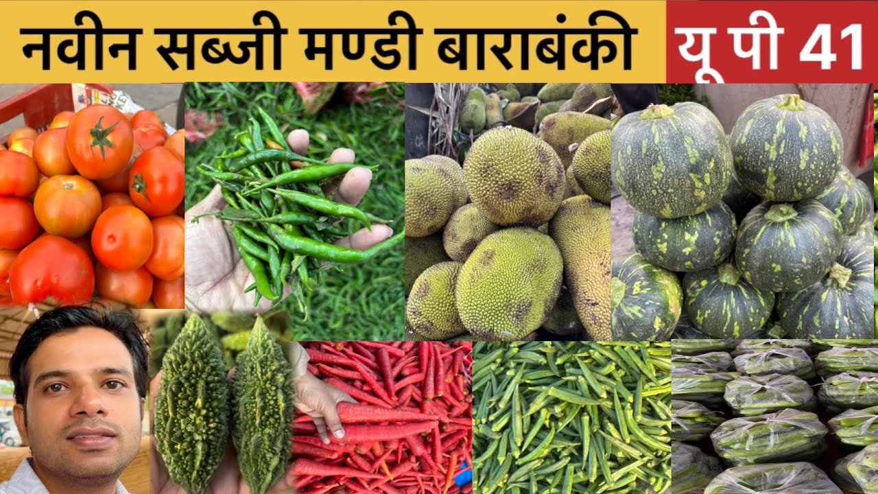 बाराबंकी सब्जी मंडी | मिर्च 🌶️ टमाटर 🍅 हुवा सस्ता | barabanki sabjimandi aaj ka thok bhav 23/02/2026