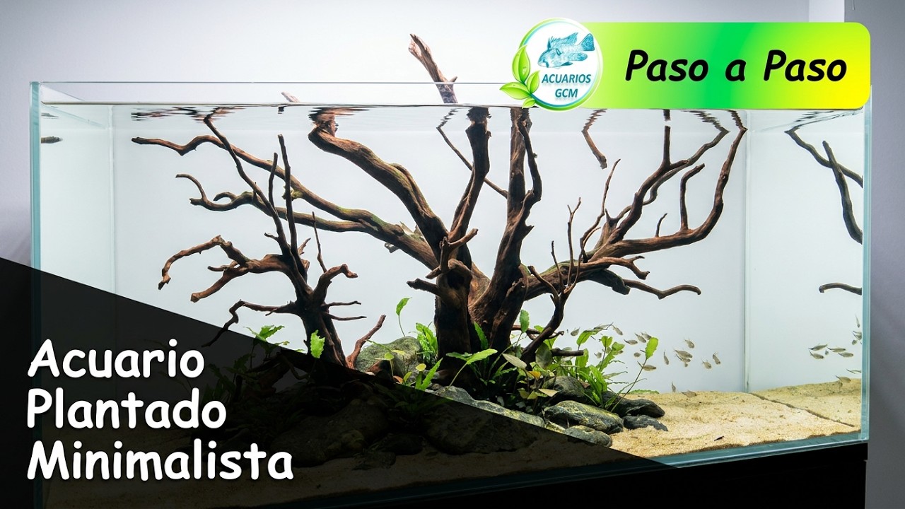 A Simple Planted-Tank