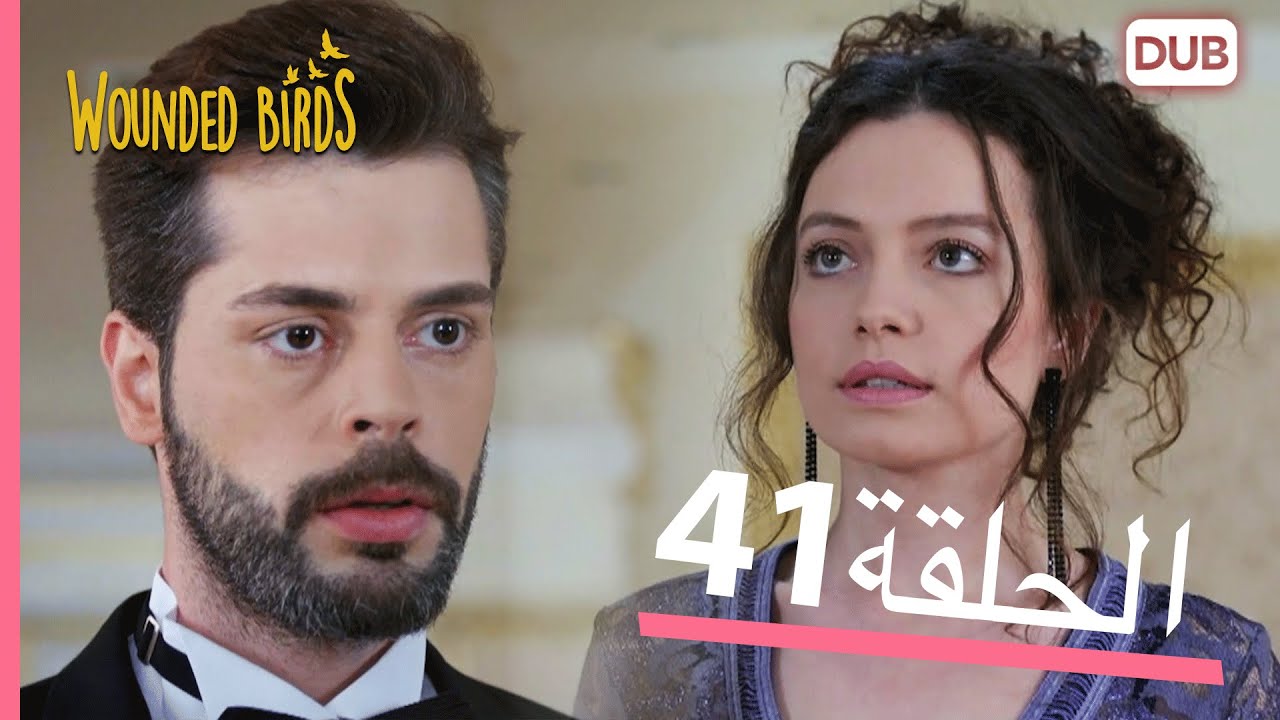 الطيور الجريحة | الحلقة الكاملة 41 |  مدبلج عربي