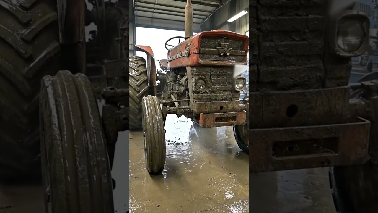 1964 Massey Ferguson 135: Abandoned to Brand New! 🚜✨#shorts