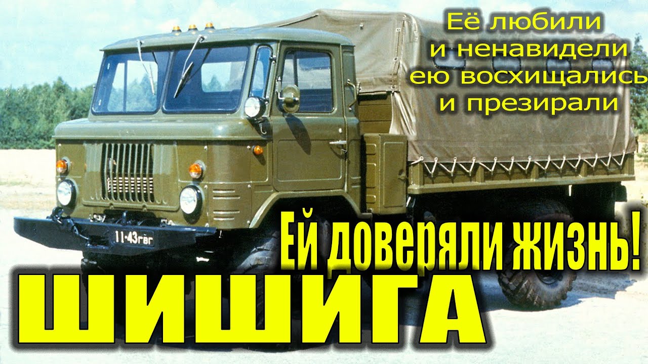 Всё ли ты знаешь про ШИШИГУ? Проверь себя!