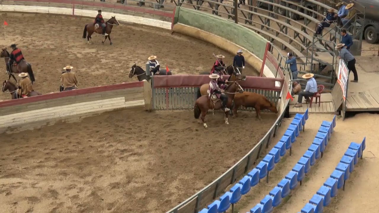 4TA SERIE LIBRE RODEO CLUB PICHILEMU ASOCIACIÓN CARDENAL CARO TEMPORADA 2025 2026