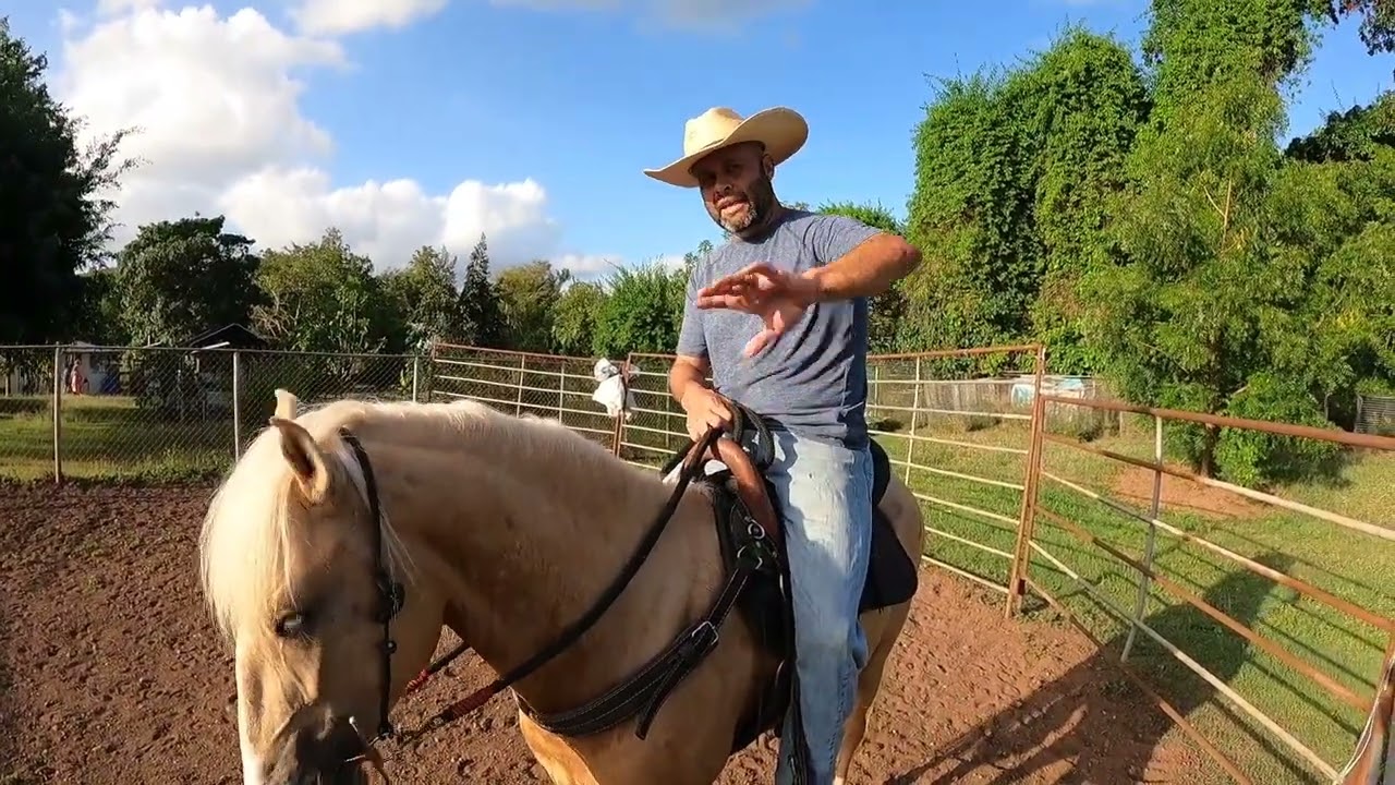 El Centro del caballo y su problemática. Como llegamos a el? #elcaballoyelcaballista