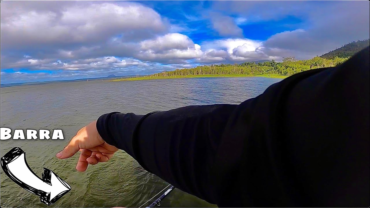 First Attempt At SIGHTCASTING Barramundi | Proserpine Dam