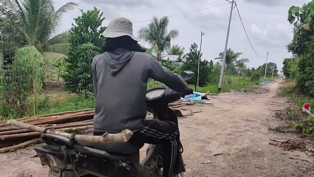 PROSES PELANGSIRAN KAYU BUAT PEMBIBITAN 