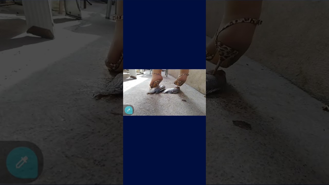 Full videos or patreon. Crushing walkimg heels trample .. #misstressharpheels