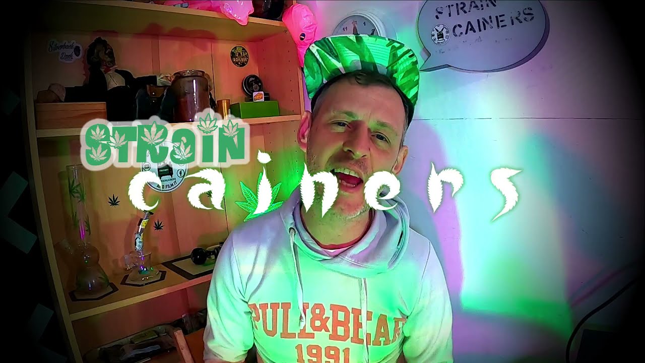 The Cainer Cave (Stoner Shed Becomes a Smoke Den)